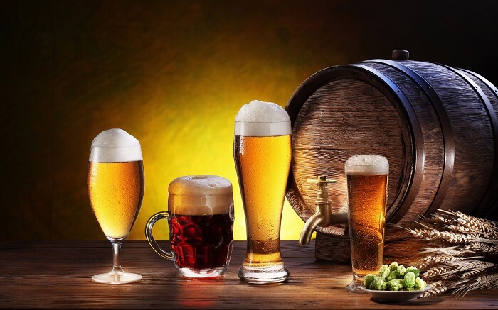 Men bia là sản phẩm của quá trình lên men bia