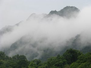 Đỉnh Mây Bạc – Đỉnh núi cao nhất Ninh Bình (ảnh sưu tầm) - Du lịch Ninh Bình