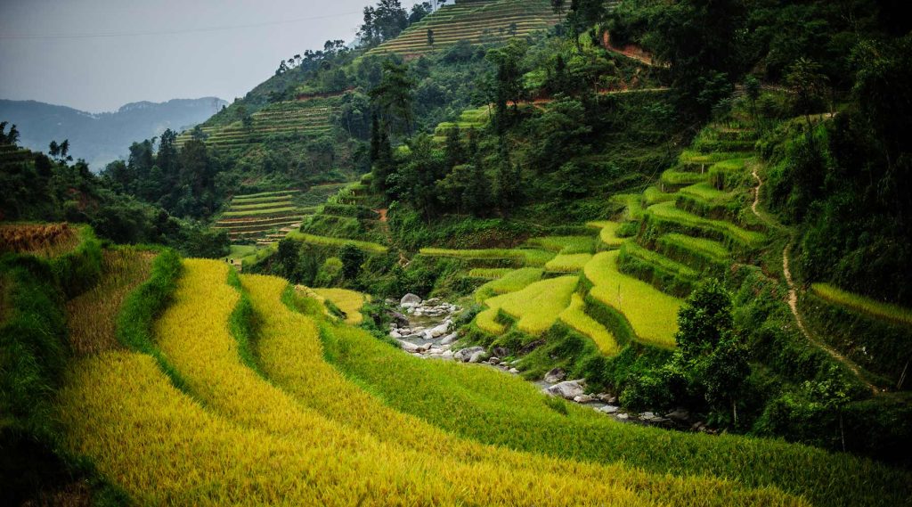 hoang-su-phi