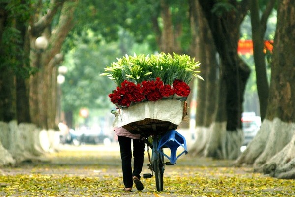 Con đường tình yêu - Phan Đình Phùng (Ảnh: ST)