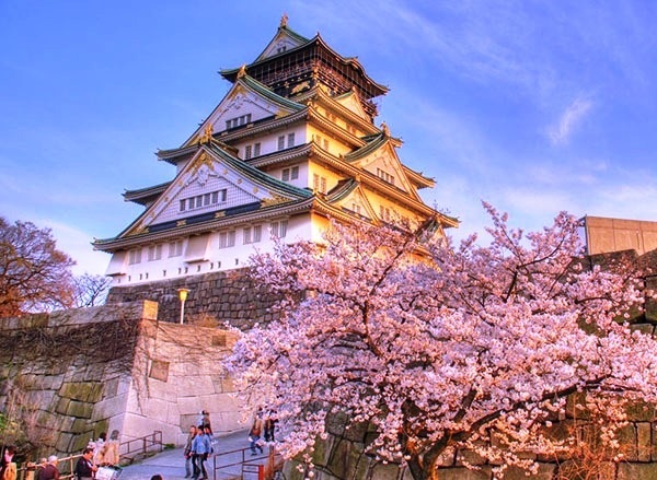 Lễ hội hoa anh đào ở Osaka